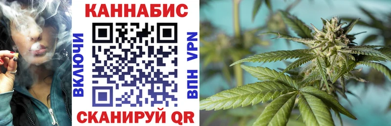 где можно купить наркотик  Подпорожье  Шишки марихуана гибрид 
